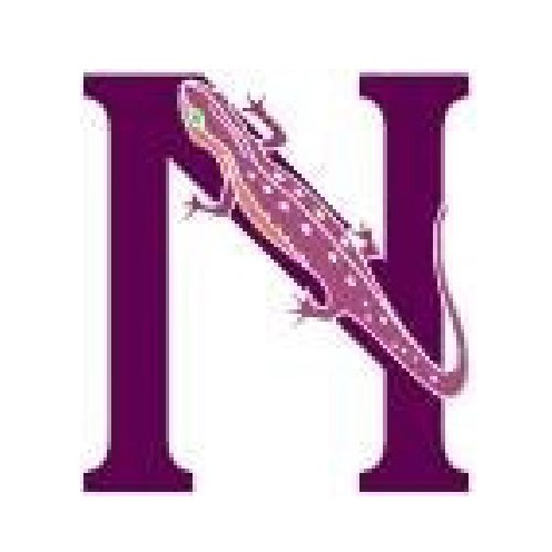 Newark Street School Newt mascot image with newt on the letter N