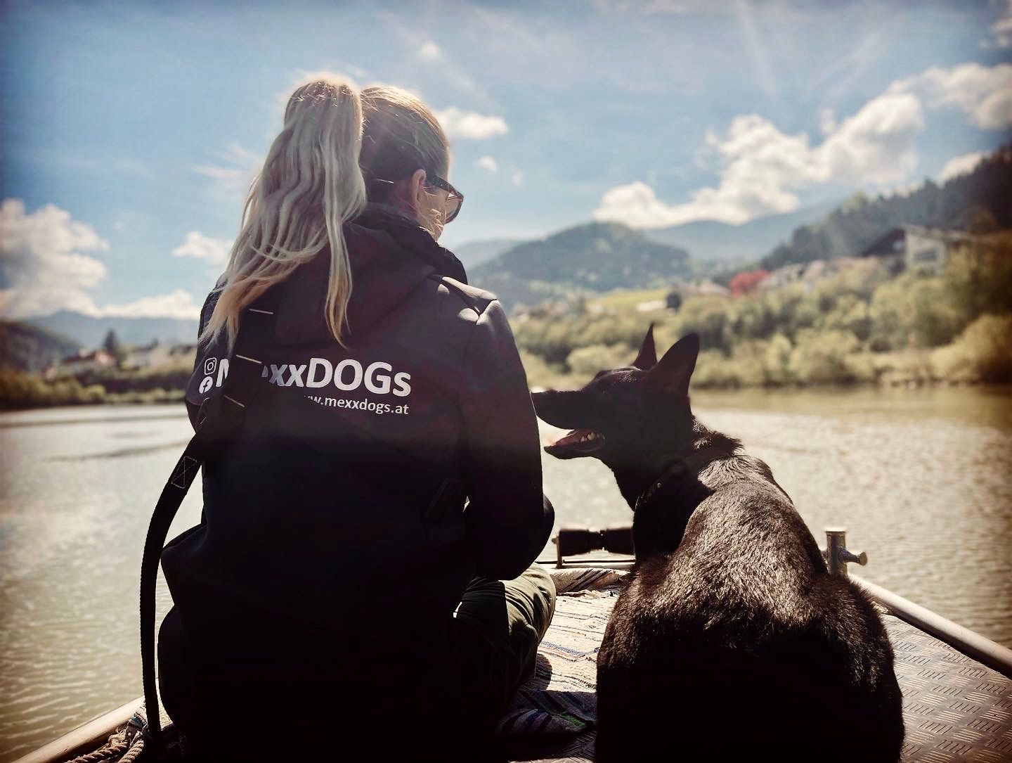 ein braun-weißer Hund trägt einen orangefarbenen Rettungswesten im Wasser