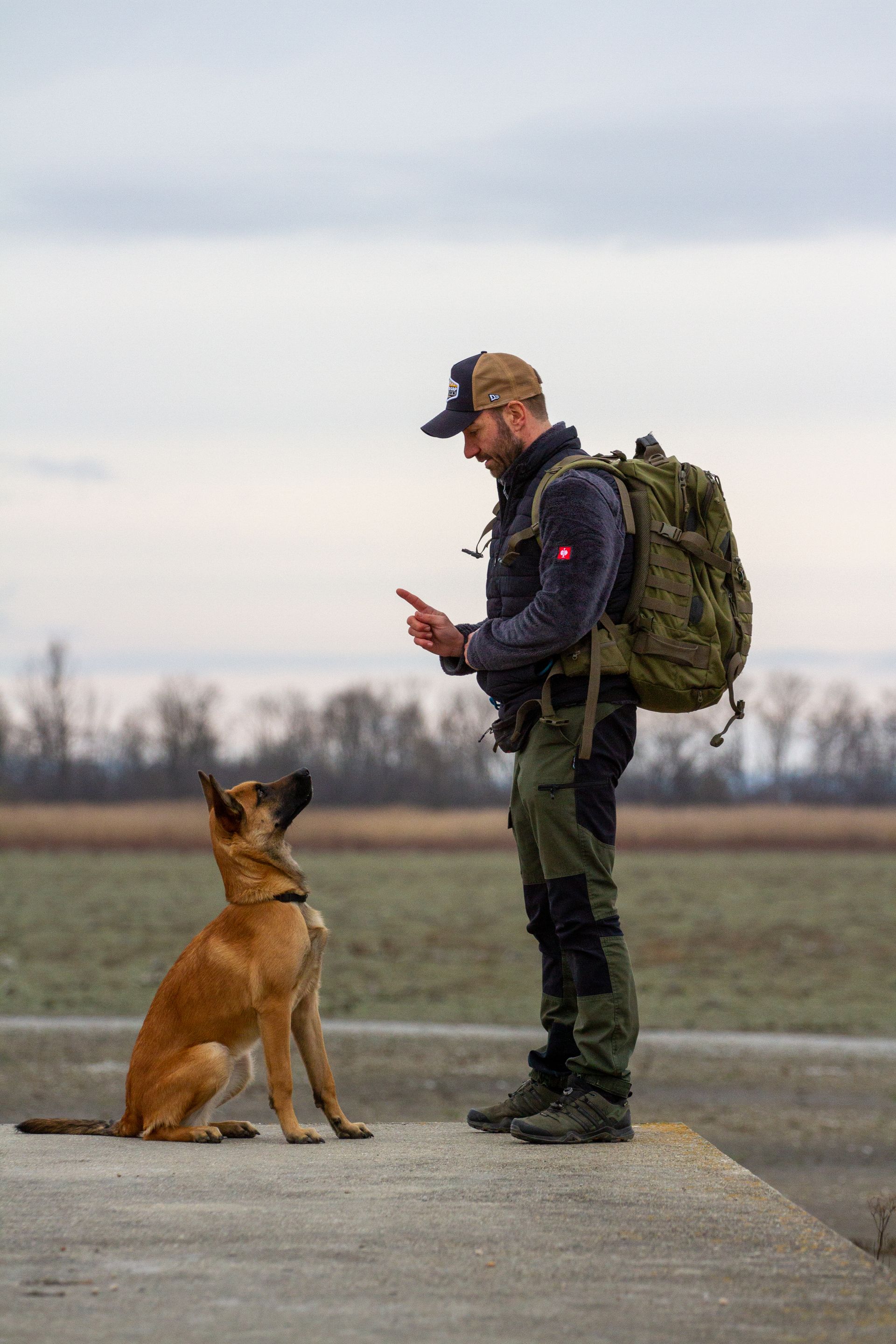 Hundekommando