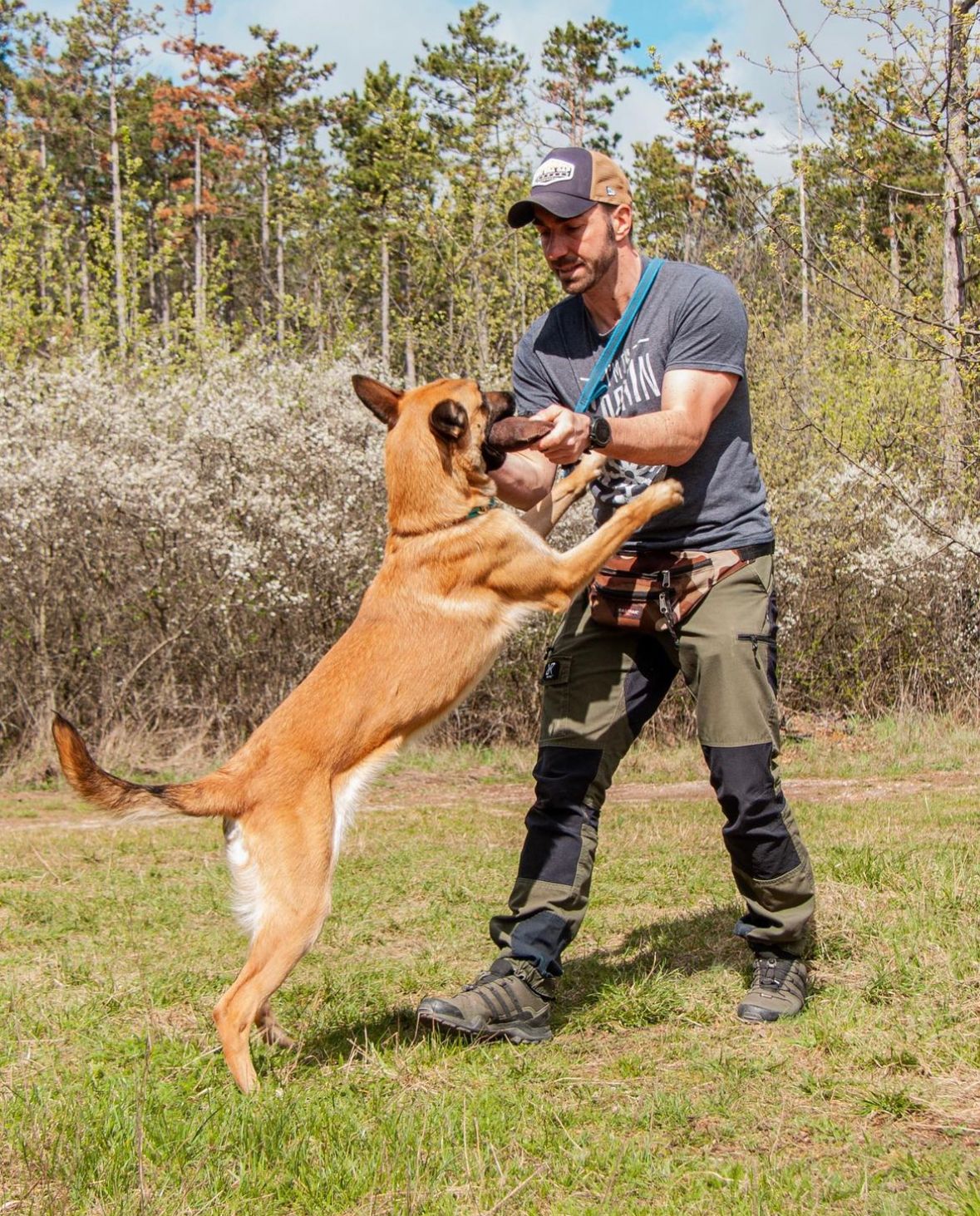 Mexx spielt mit einem Hund und trägt ein T-Shirt mit der Aufschrift survival