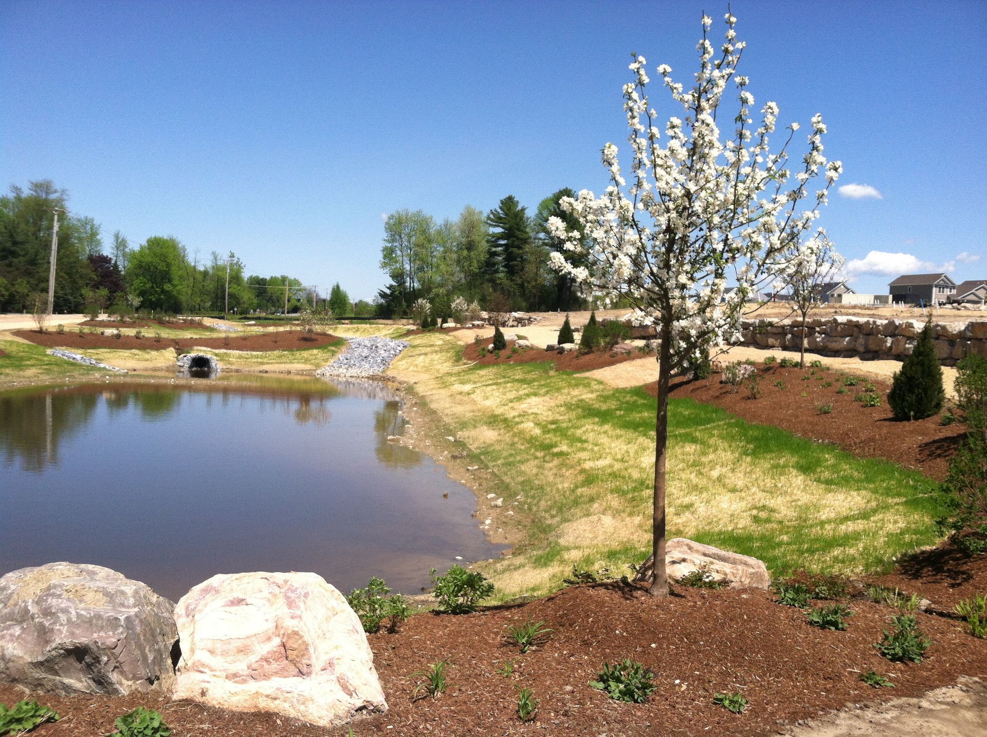 An aerial view of a retention pond surrounded by lush green vegetation, designed to collect and store rainwater runoff to prevent flooding and erosion.