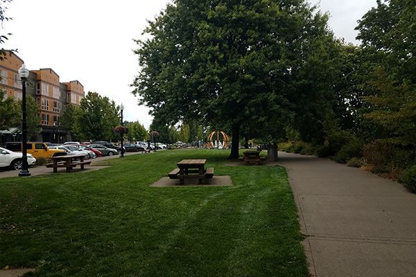 Picture of downtown Corvallis, Oregon Willamette Park