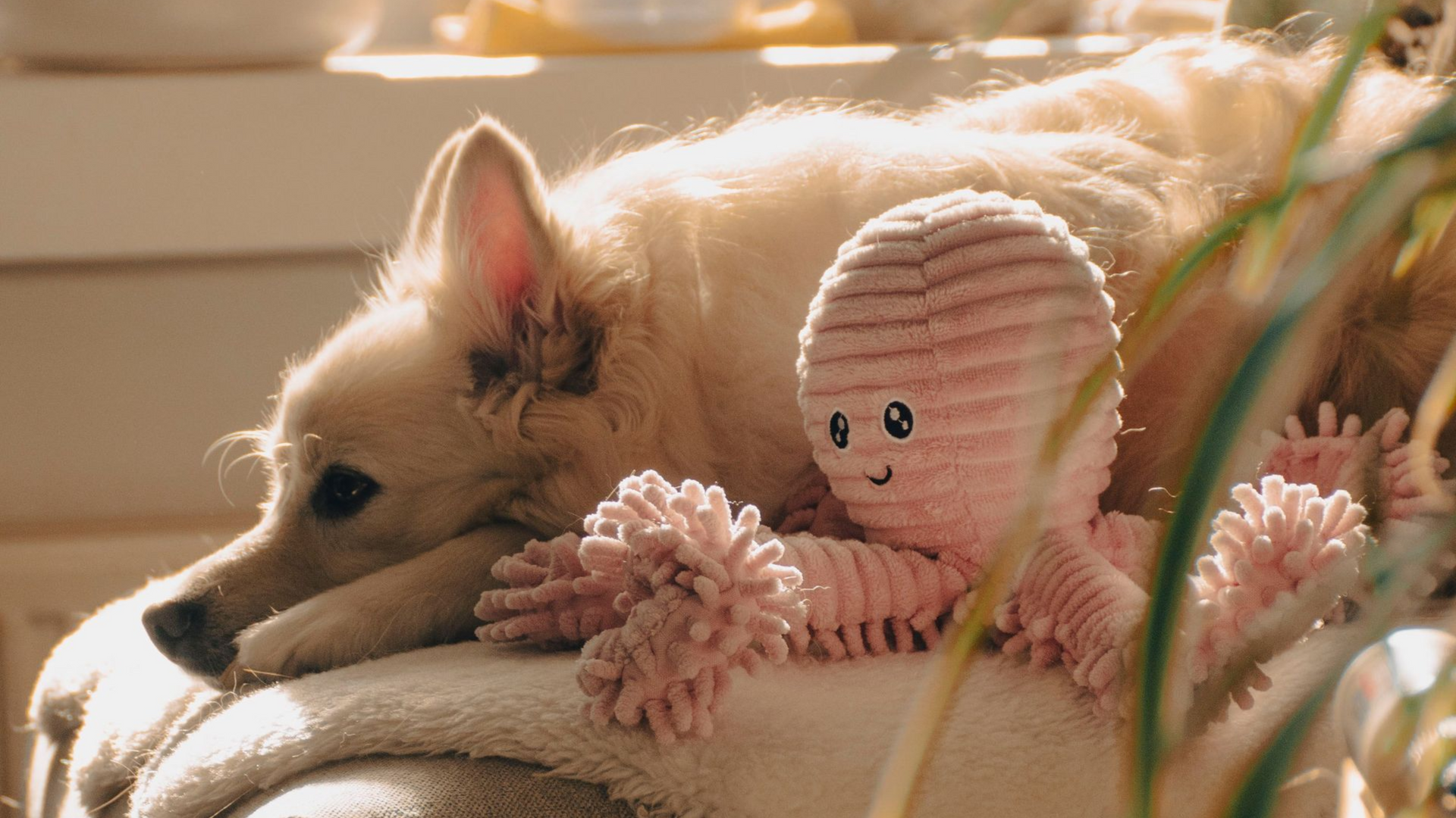 Dog laying on a couch with an octopus stuffed animal