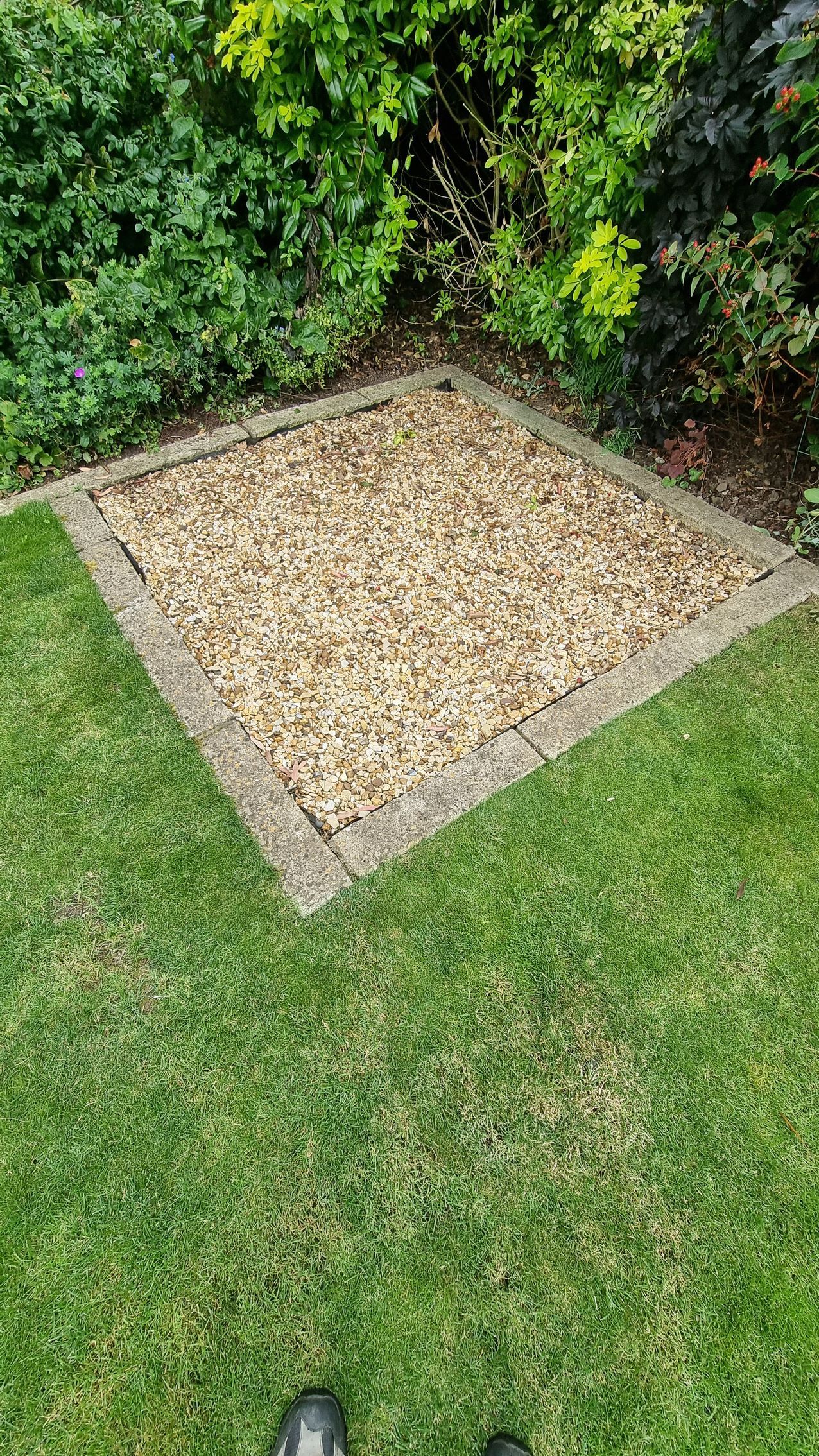 A concrete edging around a lawn that is dirty, covered in blackspot and algae before pressure washing and chemical soft wash treatment.