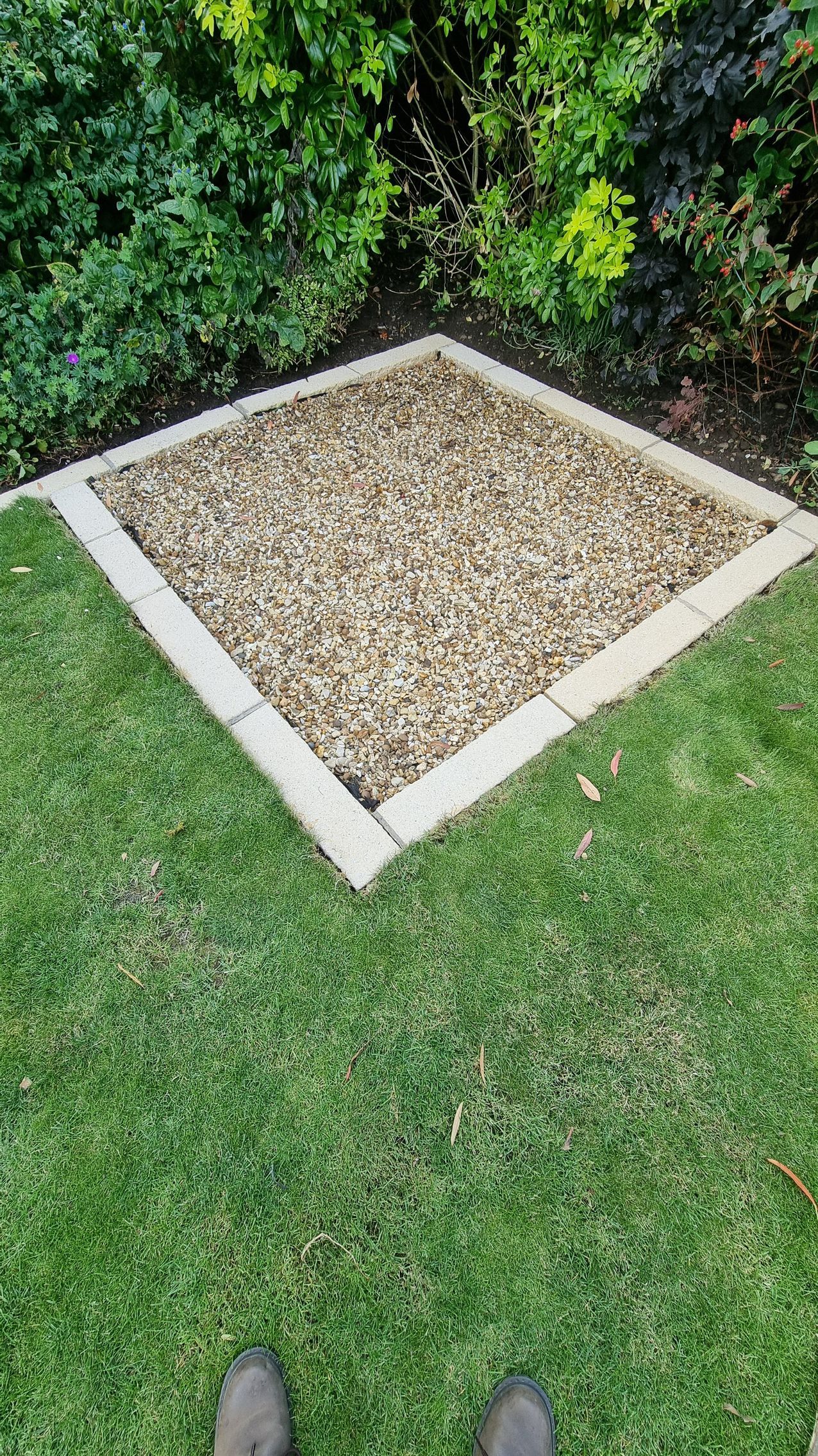 A concrete edging around a lawn that is bright, clean and blackspot free after pressure washing and chemical soft wash treatment.