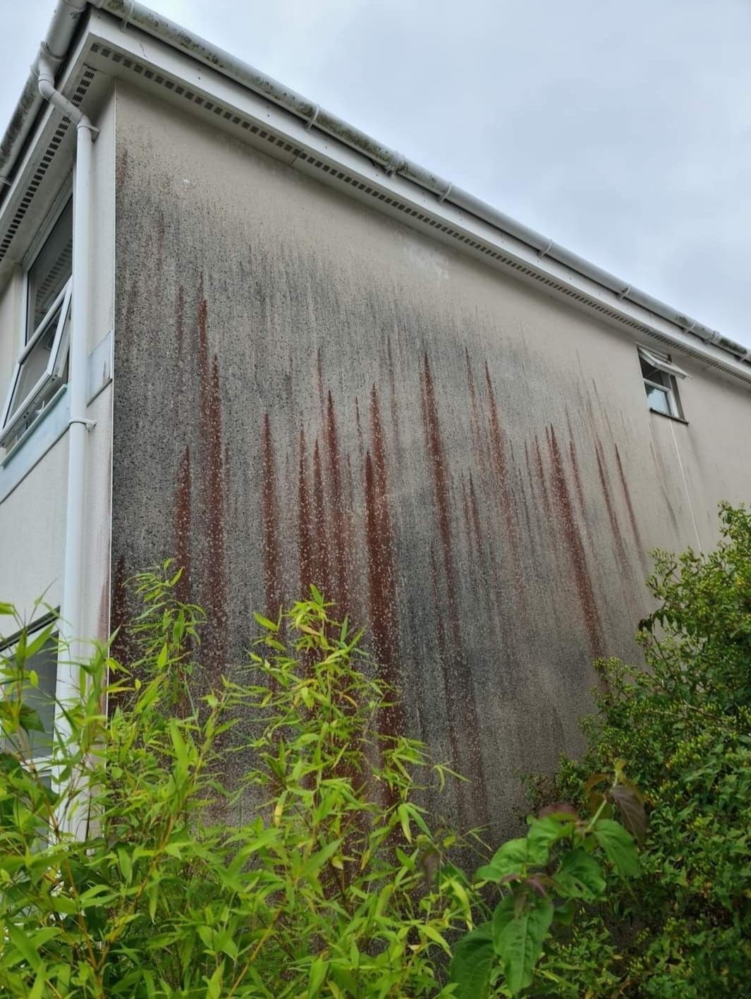 Side elevation of rendered property. Before Softwash treatment to clean red algae and surface contamination.