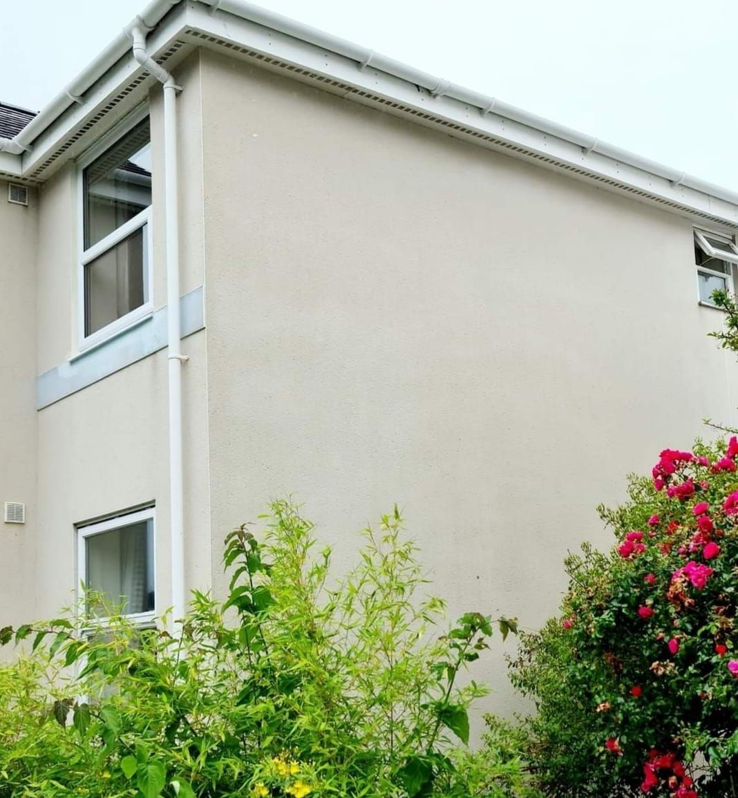 Side elevation of rendered property. After Softwash treatment to clean red algae and surface contamination.