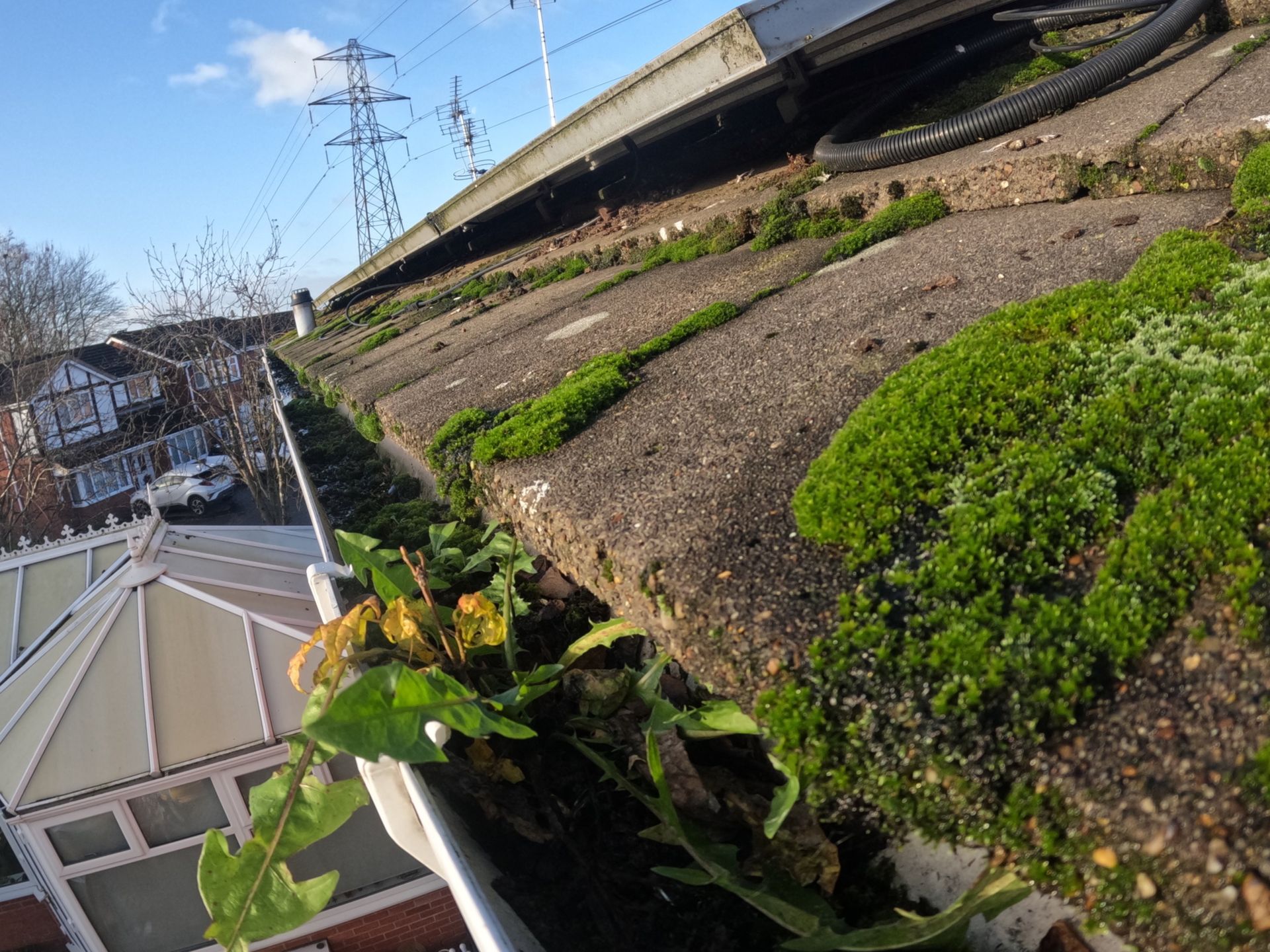 Overgrown roof gutter with green moss and plants, under blue sky; power lines and houses in background.