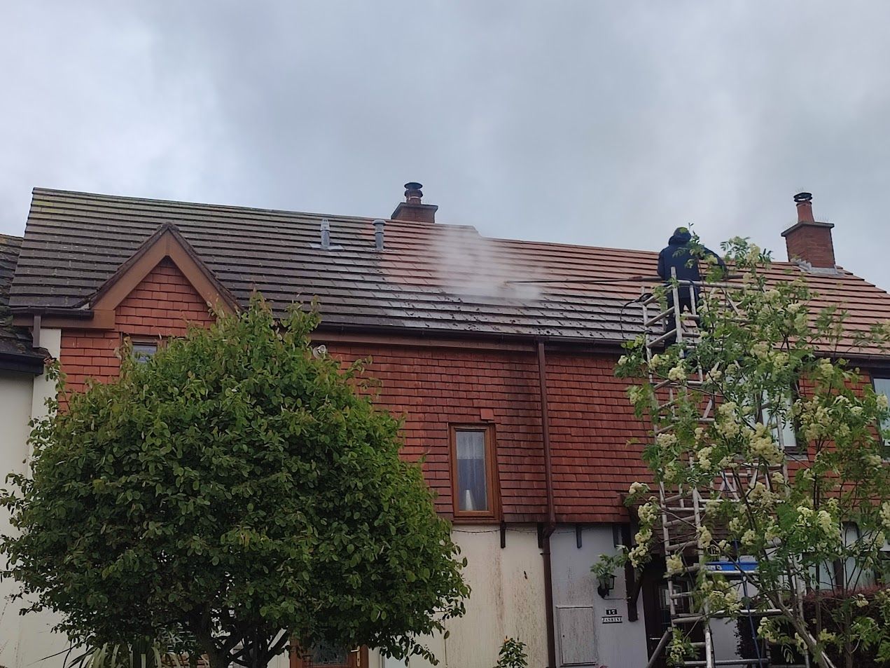 Roof Cleaning, before and after
