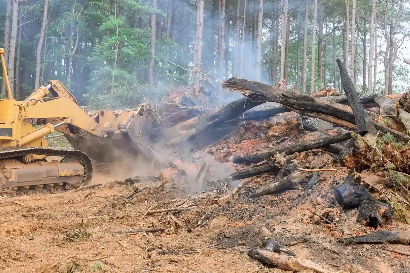 Yellow excavator clearing a smoky pile of logs in a forest clearing
