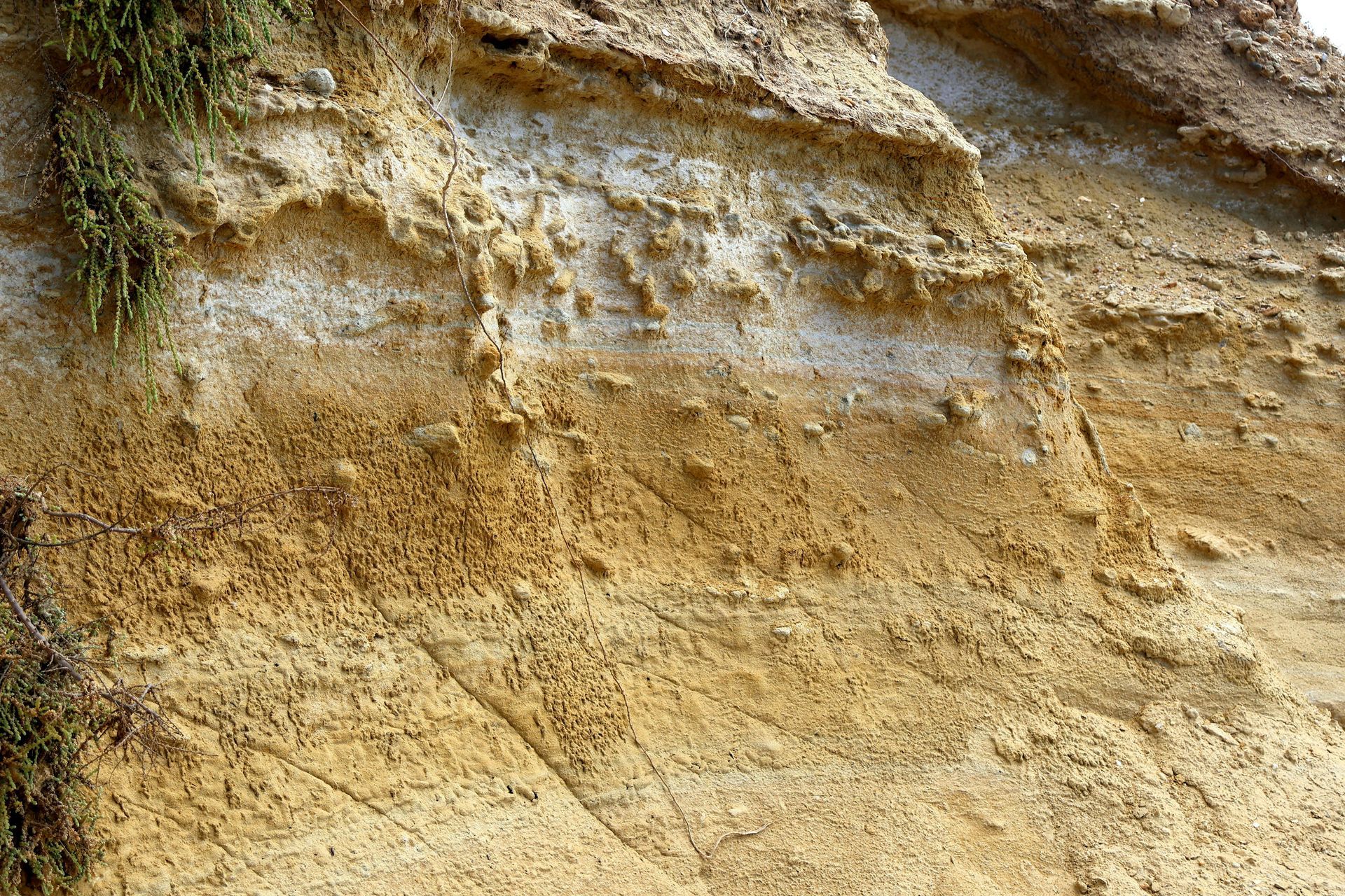 Close-up of layered sandy rock with beige, tan, and gray sediment bands
