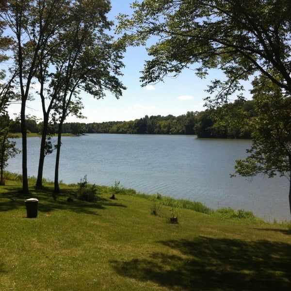 A large body of water surrounded by trees on a sunny day