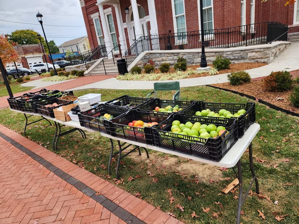 A table with crates of fruit and vegetables on it in front of a building.