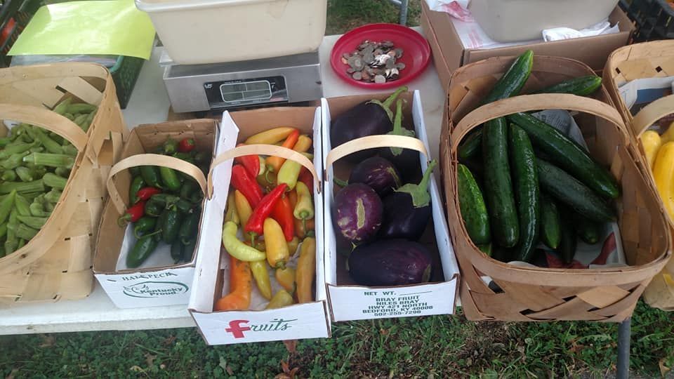 A table full of baskets of vegetables including eggplant peppers and cucumbers
