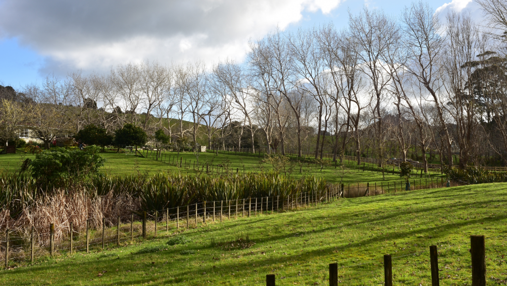 A fence surrounds a grassy field with trees in the background.