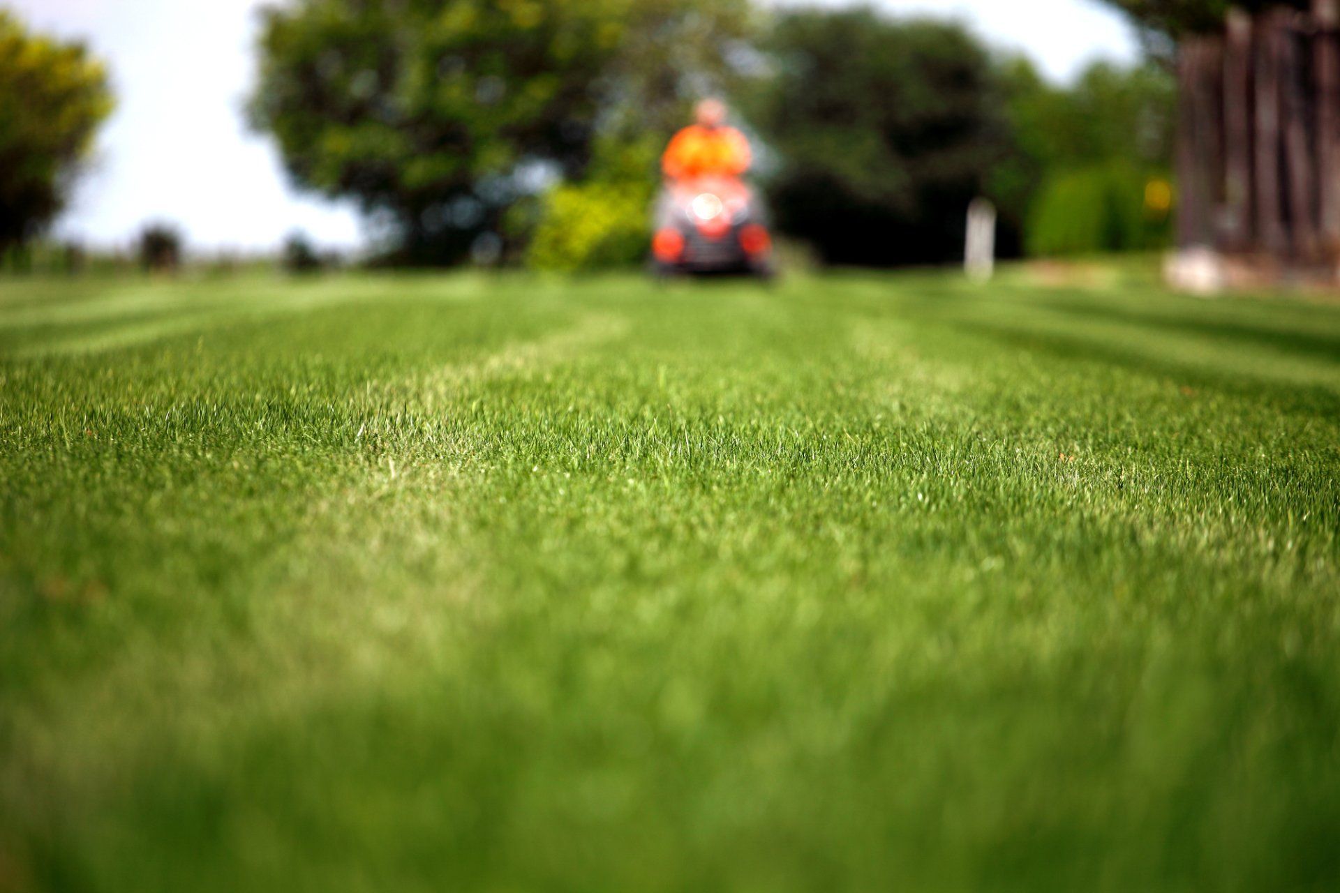 LAWN MOWING IN ALEXANDRIA, VA LAWN MOWING IN ALEXANDRIA, VA