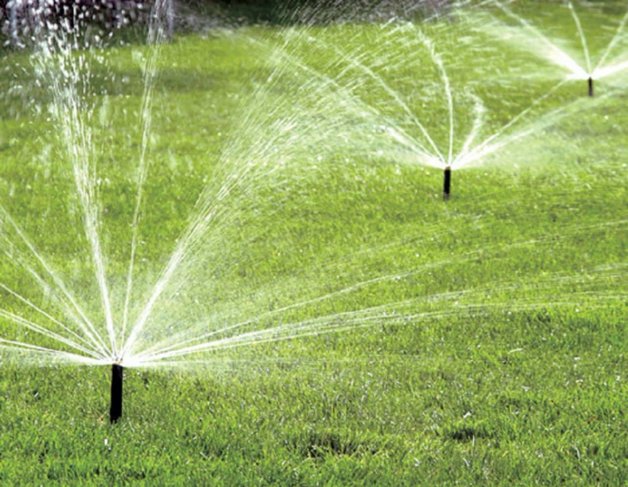 A row of sprinklers spraying water on a lush green lawn.