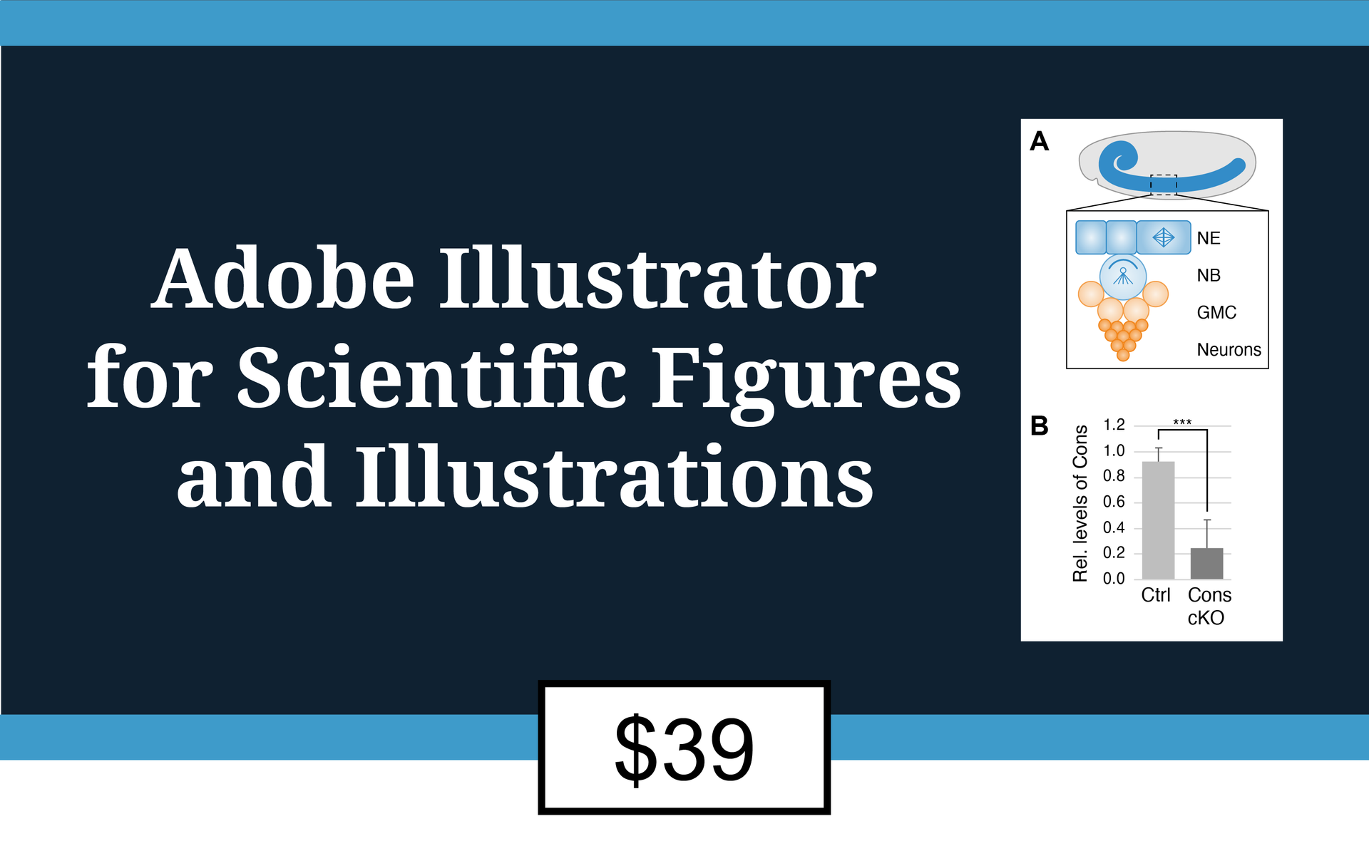 How to Make Scientific Figures & Designs with Adobe Illustrator