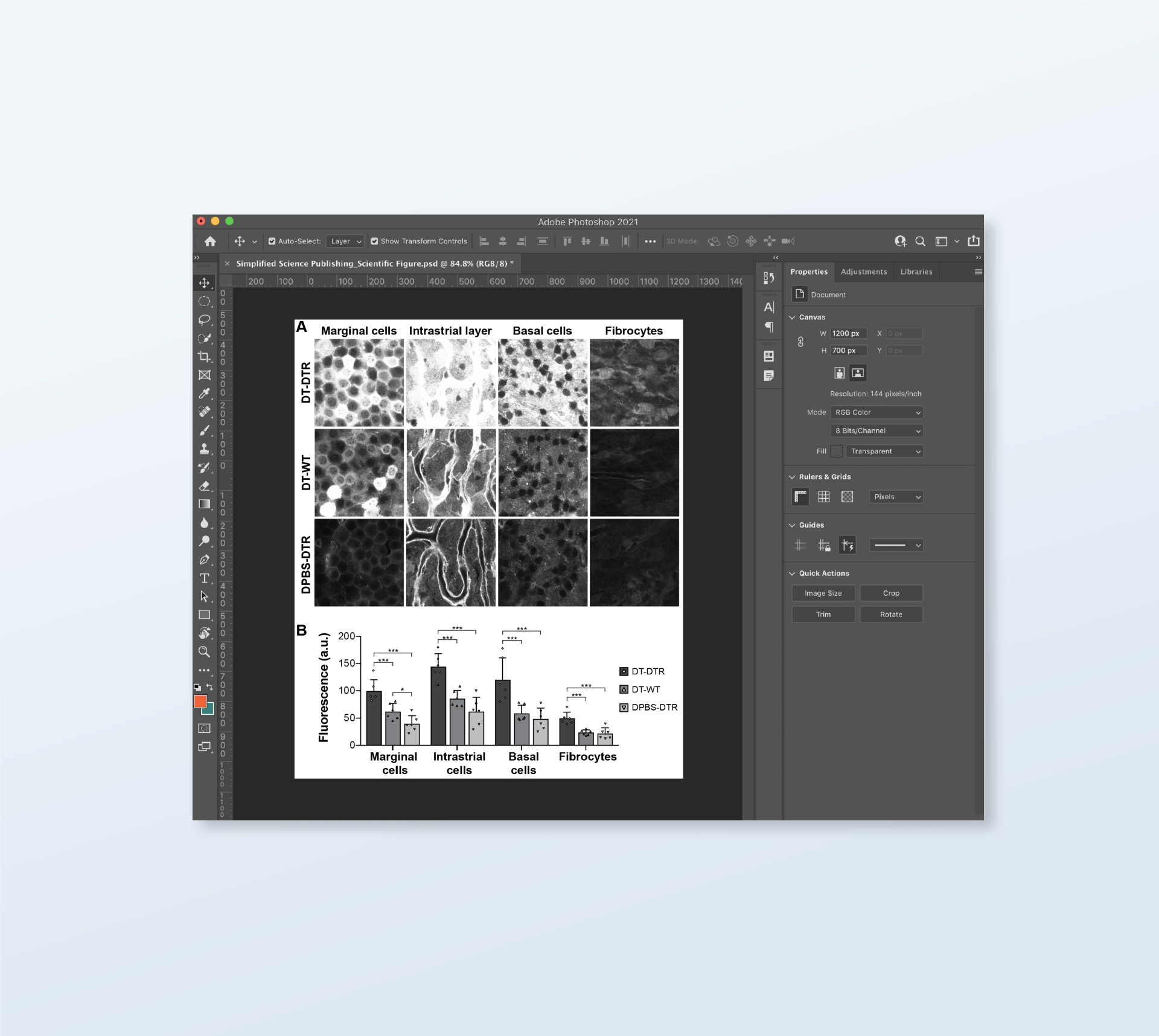 Scientific Illustration and Data Presentation Classes | Simplified Science