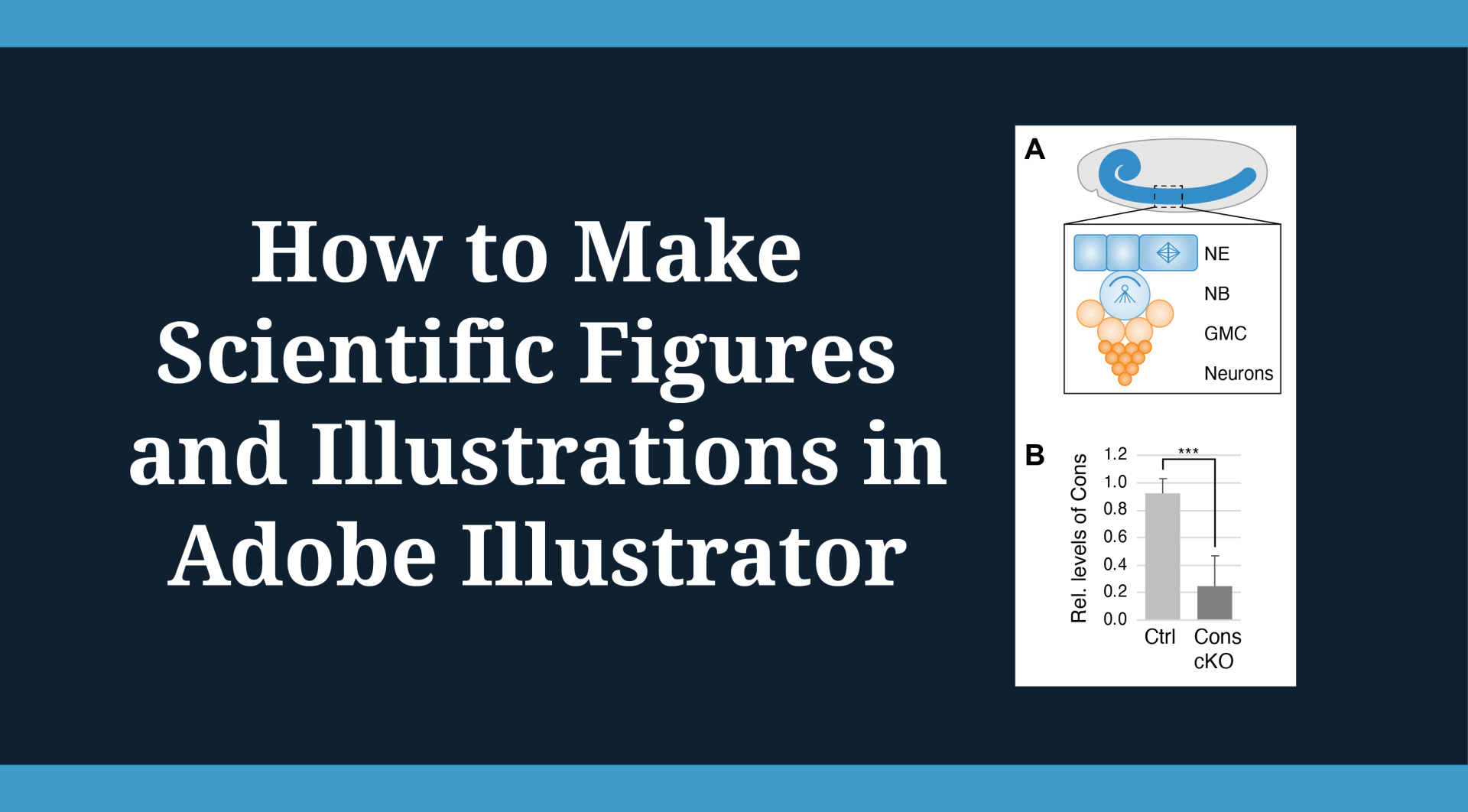 Online Training to Make Scientific Figures in Adobe Illustrator Simplified Science