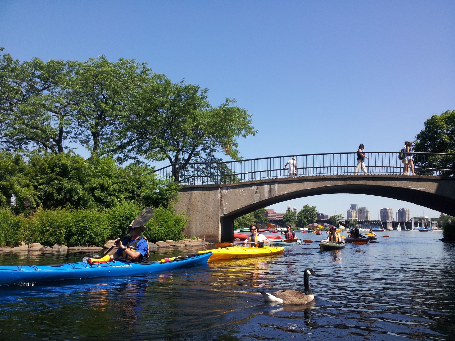 Kayakers on river under a bridge, clear blue sky. People walk on the bridge. Buildings in the distance.