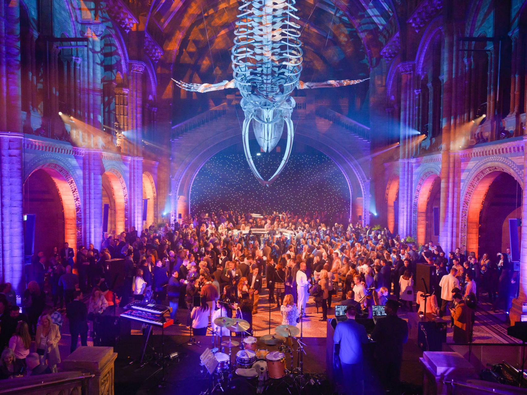 Large party inside a museum, lit in purple and orange, with many people dancing under a whale skeleton.