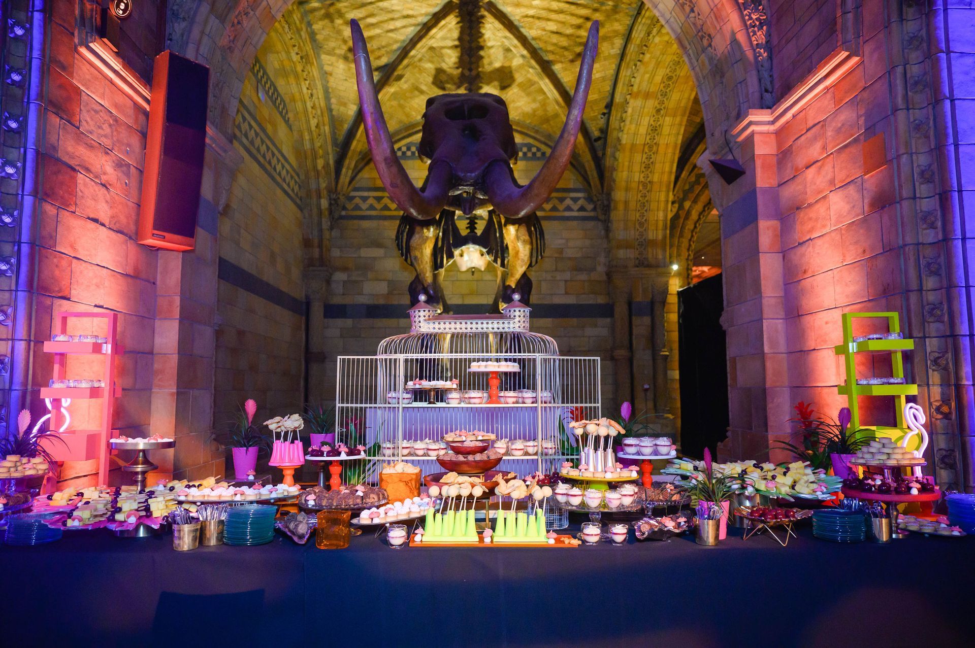 A large dinosaur skeleton is sitting on top of a table in a museum.