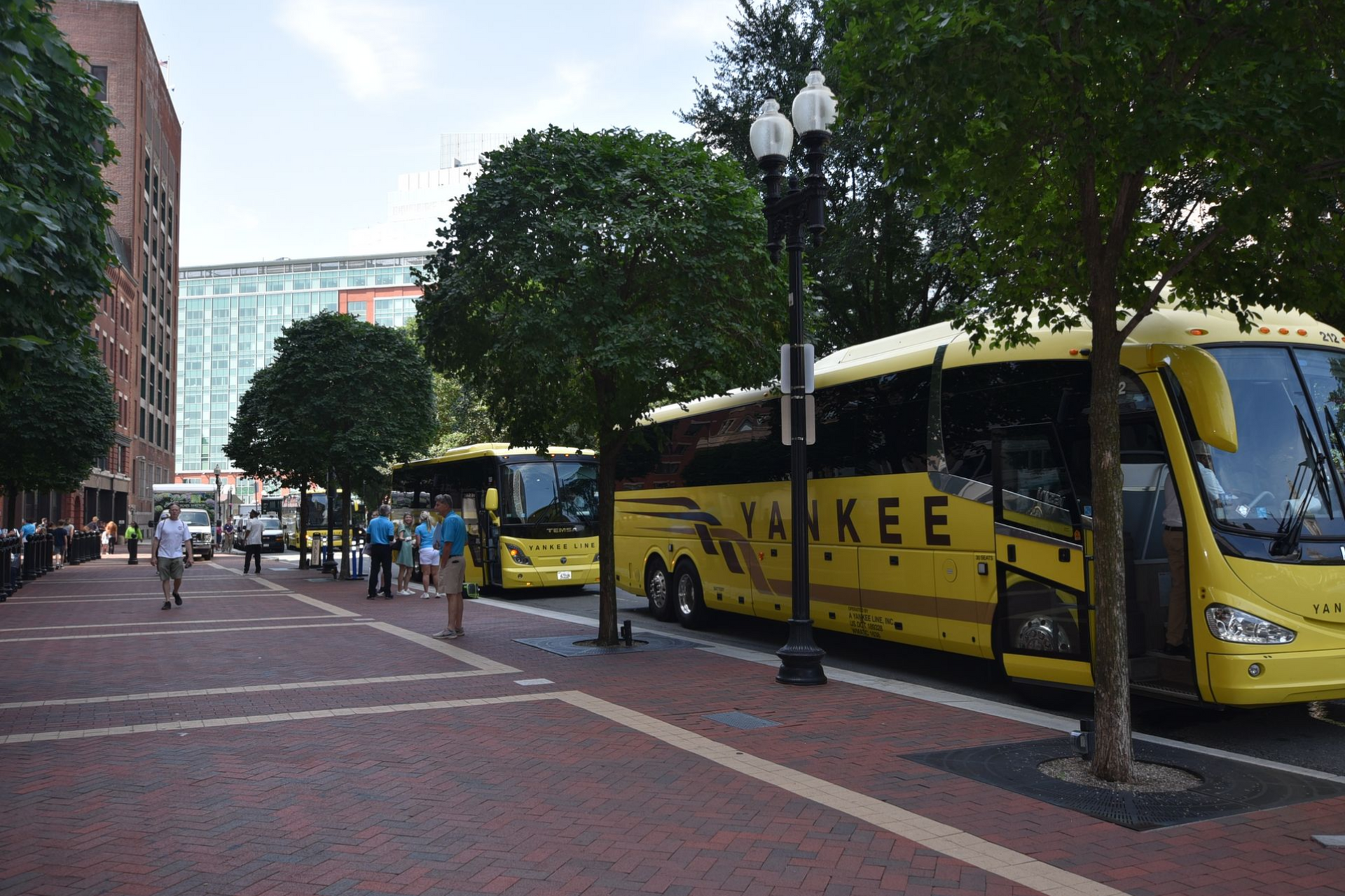 Yellow Yankee buses parked on brick street, people walking nearby. Trees and buildings in the background.