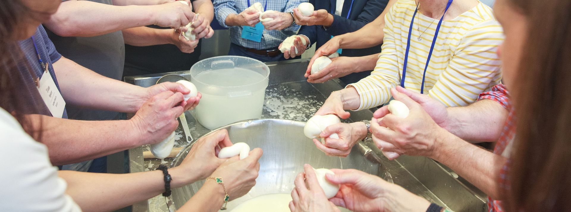 People are making cheese. They are using their hands to shape the cheese. There is a large stainless steel tub and a bucket.