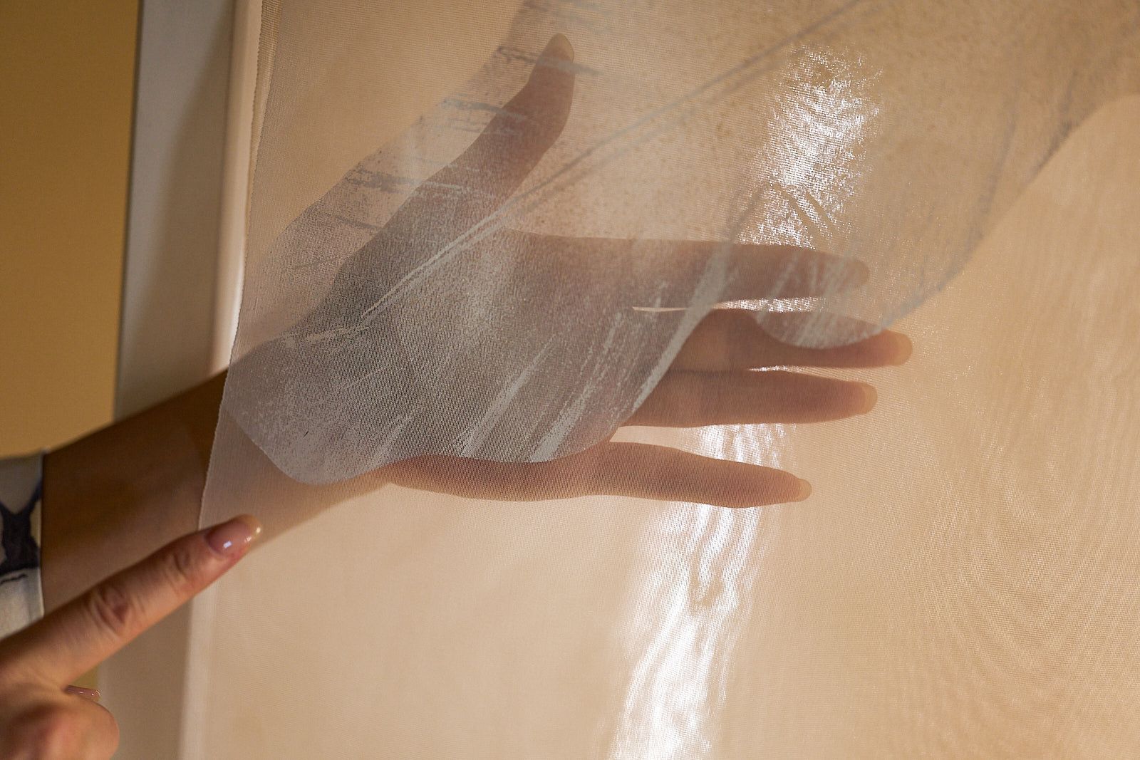 Asako TAKEMI, Japanese Kimono Artist