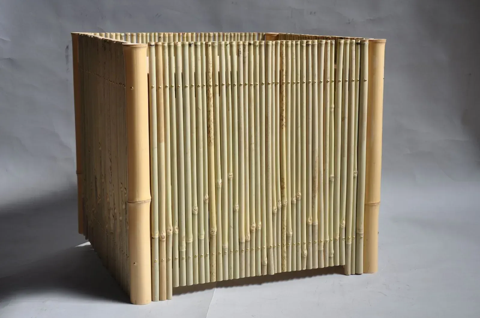 Representative work by Junji KAGATA