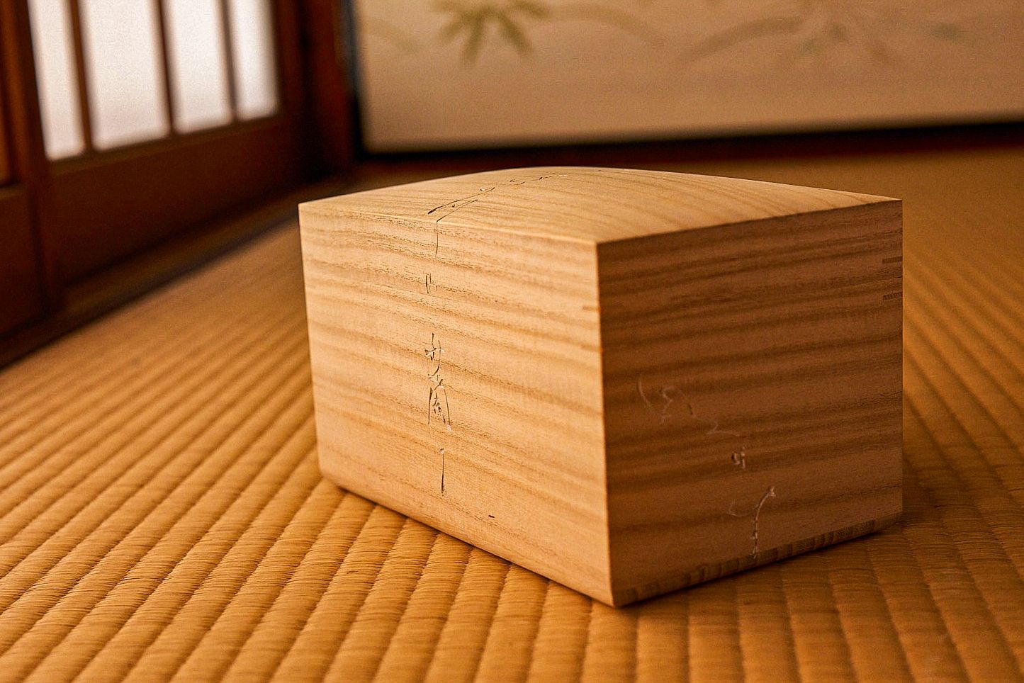 Tomoya HYODO