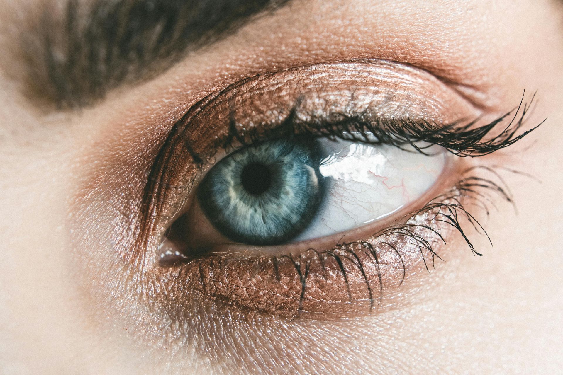 Close-up of a blue eye with long lashes and brown eyeshadow