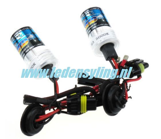 losse xenon lampen (set van twee stuks)