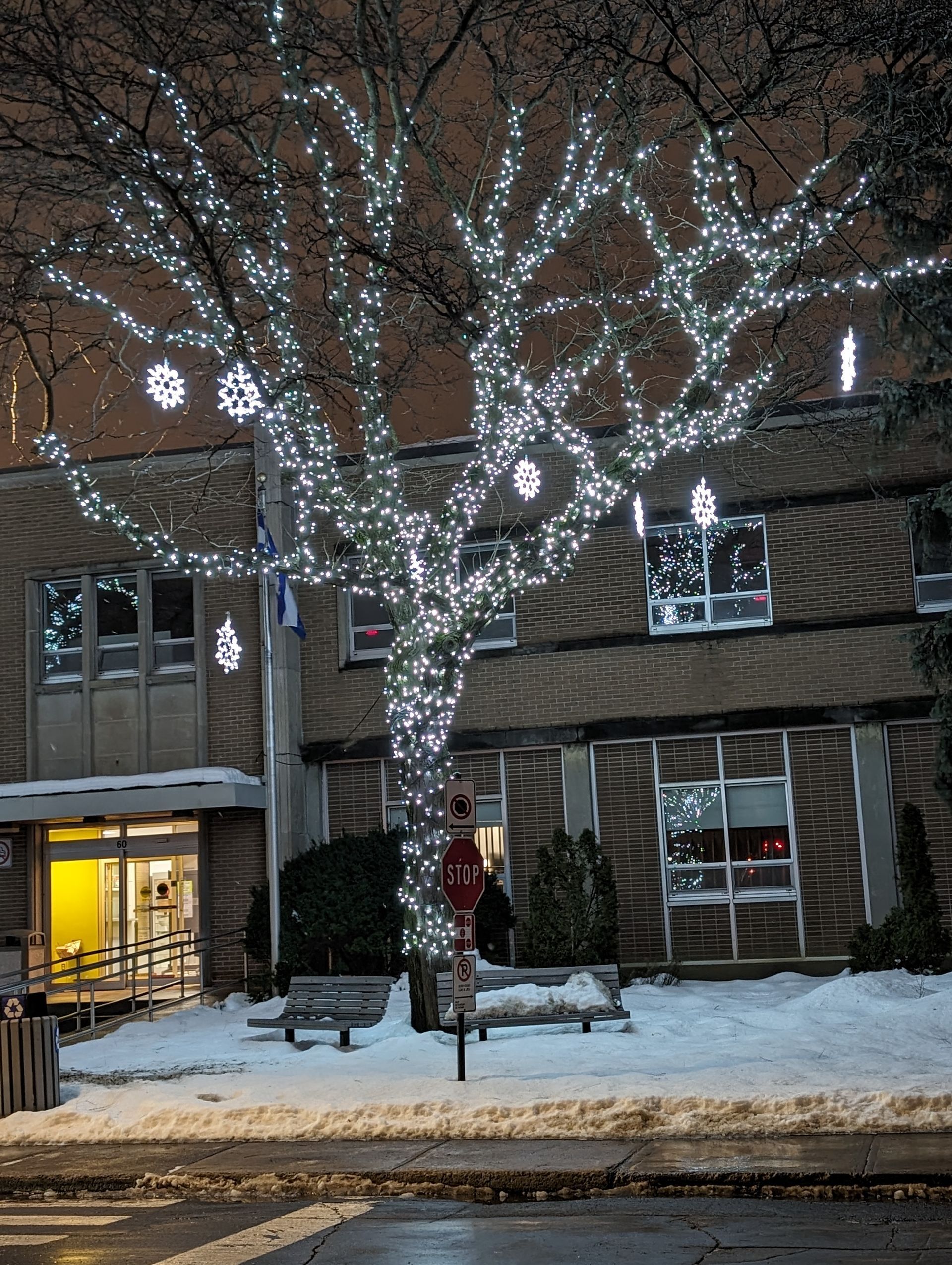 Un arbre décoré de lumières blanches devant un bâtiment en briques par une nuit enneigée.