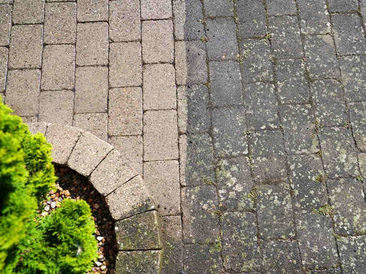 Une section de pavés en briques propres et de couleur claire à côté d'une section de pavés sales et foncés, à côté d'un buisson vert.
