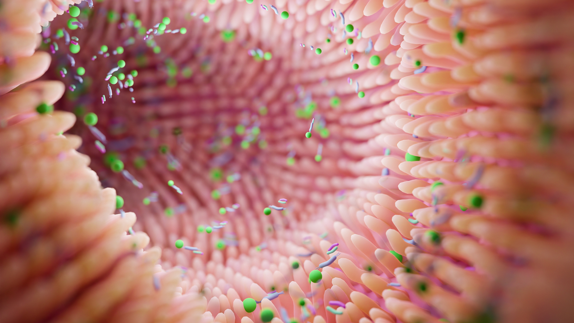 gut microbiome