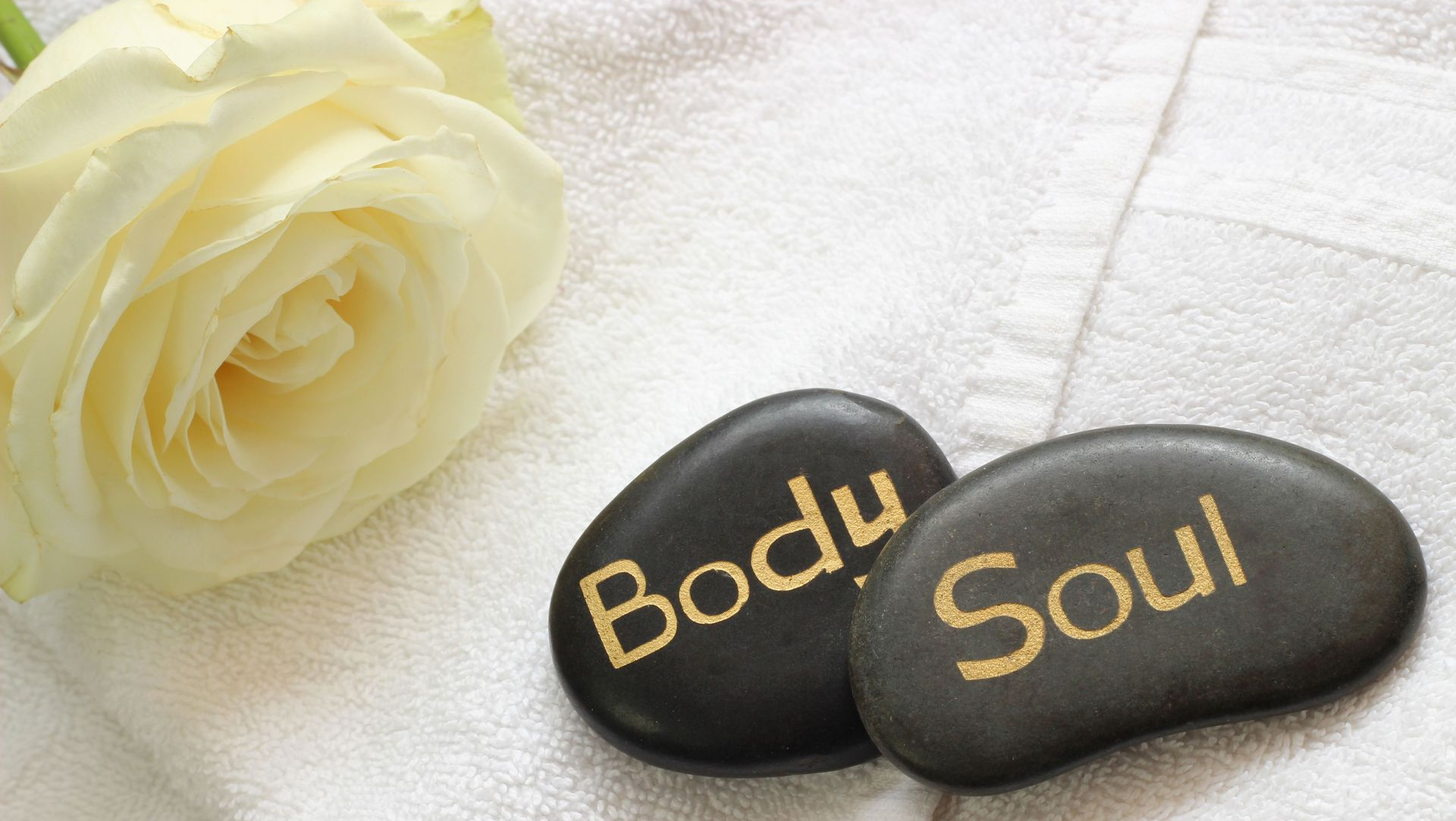 White rose beside two black stones labeled “Body” and “Soul”