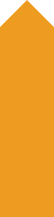 Solid orange vertical rectangle.