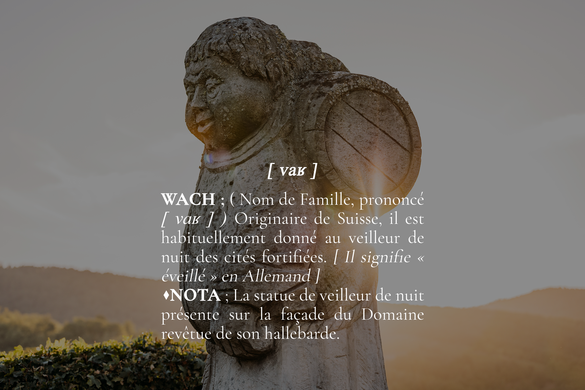 Une statue d'un homme avec un bouclier sur le dos