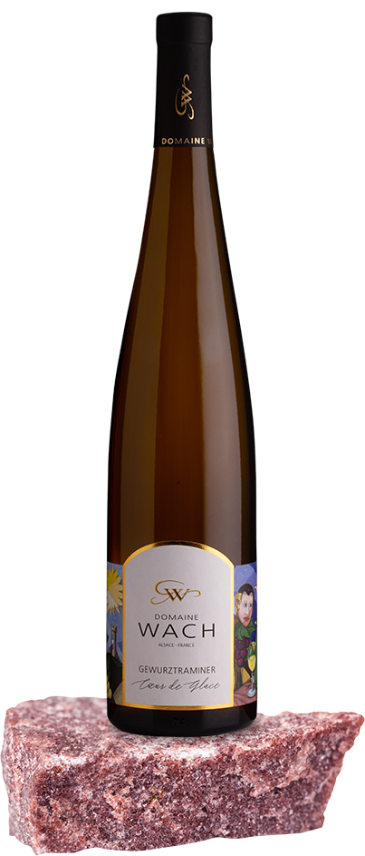 Une bouteille de vin est posée sur un morceau de rocher.