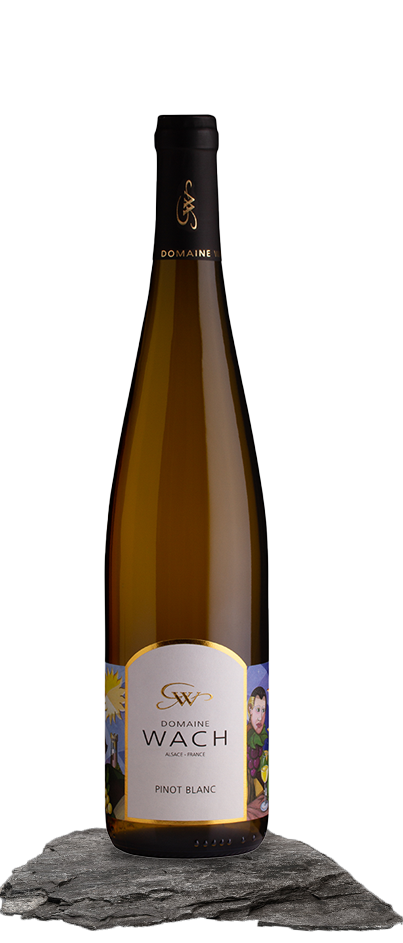 Une bouteille de vin est posée sur un rocher.