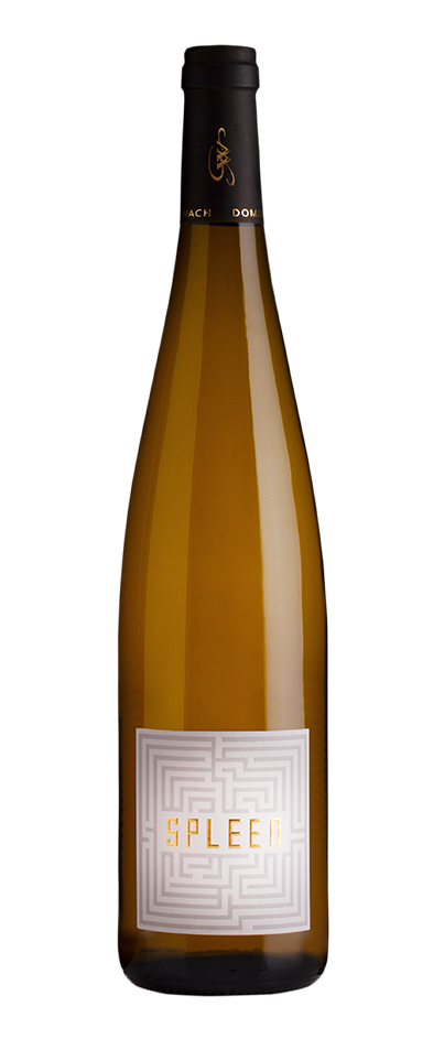 Une bouteille de vin avec une étiquette blanche sur fond blanc.