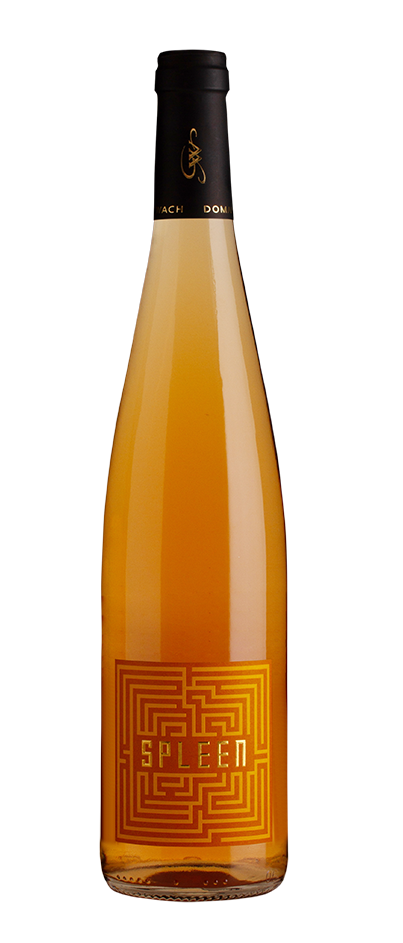 Une bouteille de vin avec un motif de labyrinthe sur l'étiquette.
