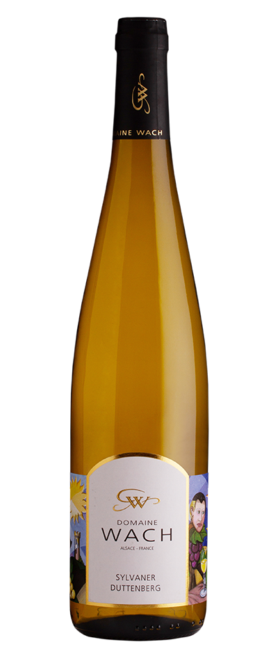 Une bouteille de vin avec une étiquette blanche sur fond blanc.