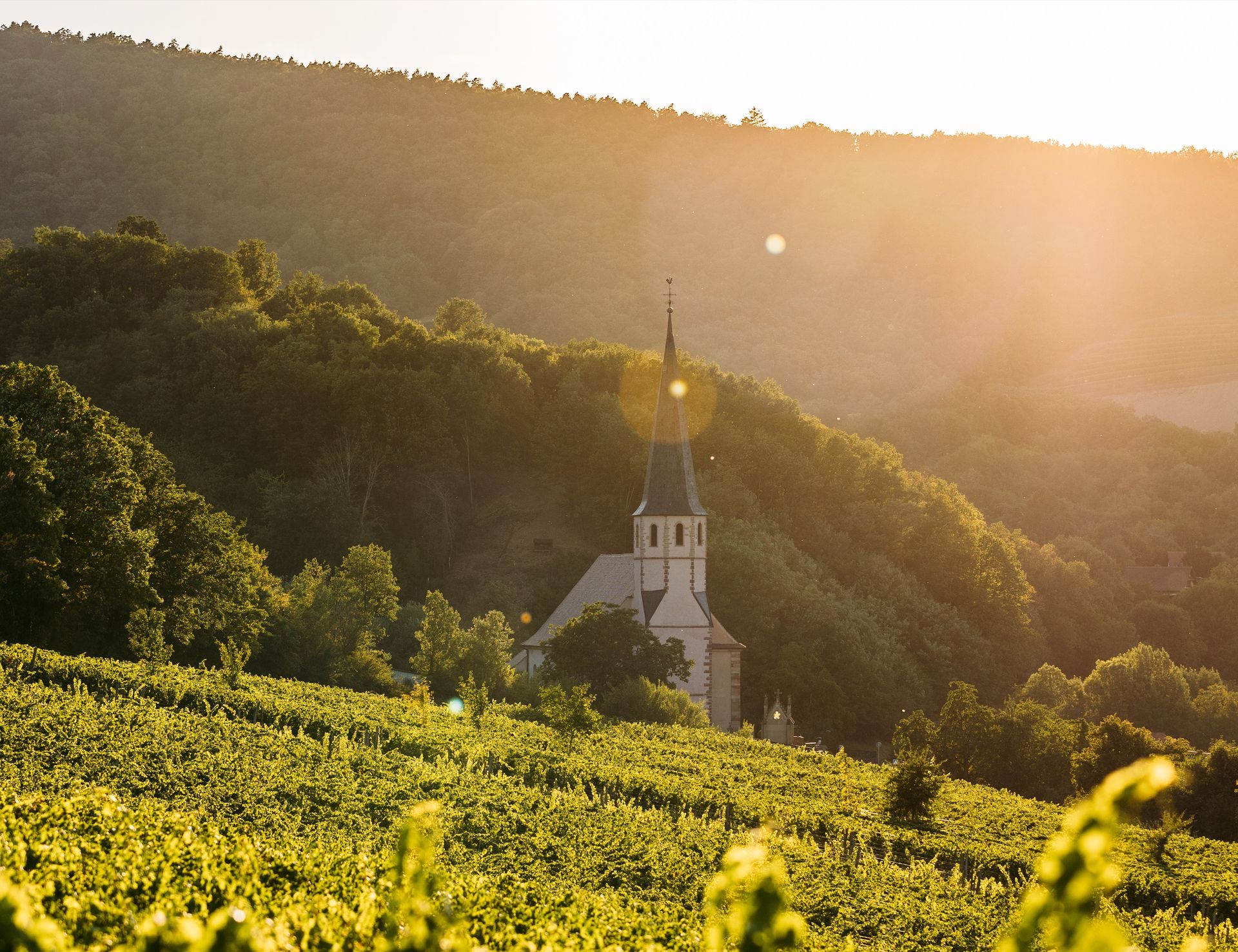 Une église se trouve au sommet d'une colline entourée d'arbres
