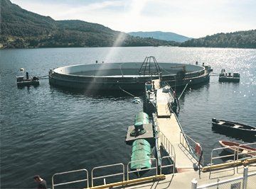 Lykkegaard leverer pumper til akvakultur i hele verden aquaculture fish farms at sea and in ponds