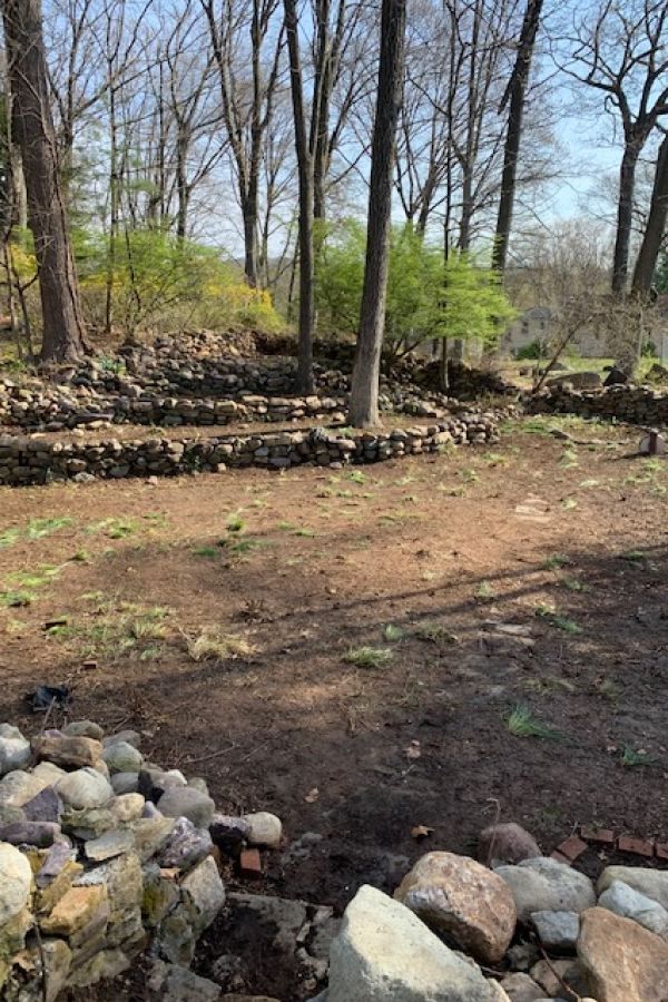 A rock wall in the middle of a forest with trees in the background.