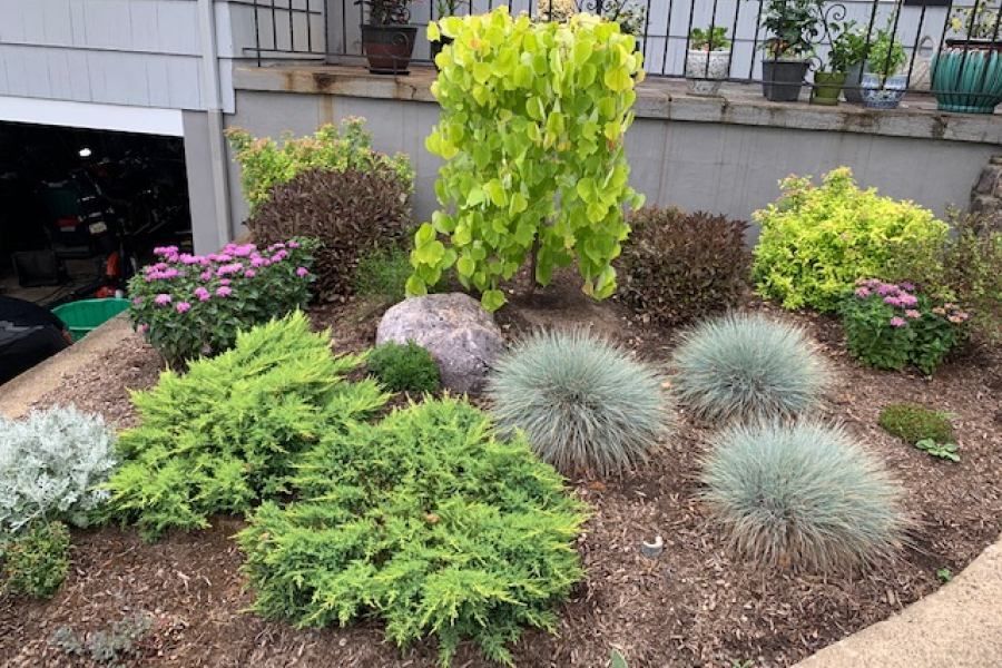 A garden with lots of plants and rocks in front of a garage.