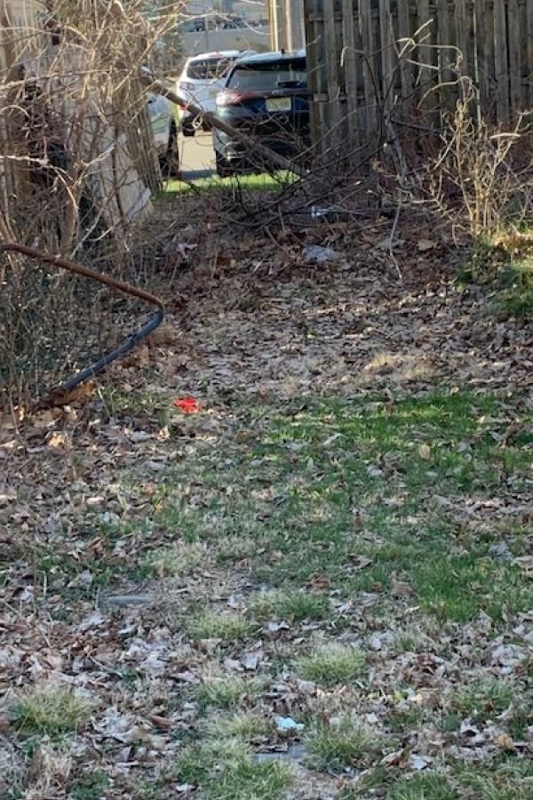 A car is parked in a backyard next to a wooden fence.
